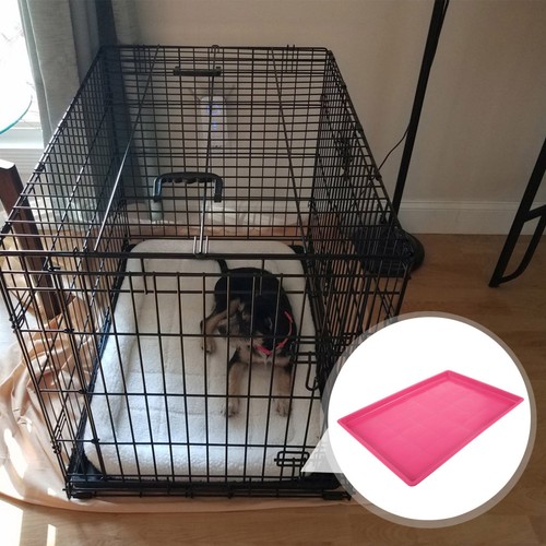 Replacement tray for dog - tray,