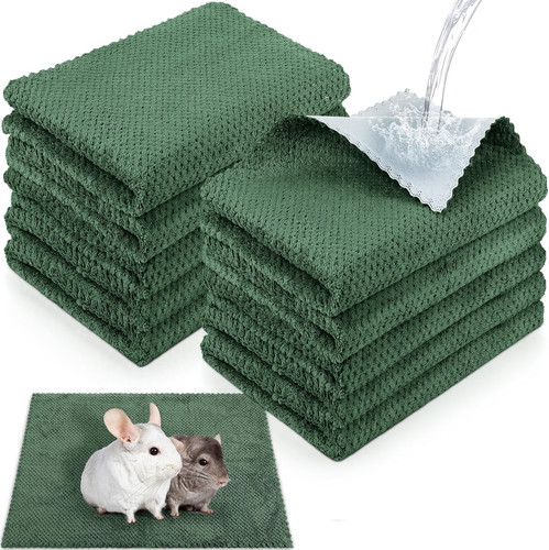 Pack washable guinea - 10-pack,